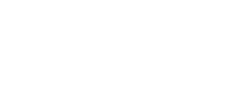 RAMSES